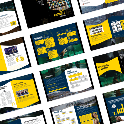 Rapport annuel BCTQ